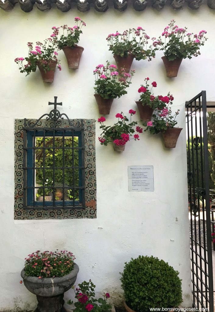Palacio-Viana