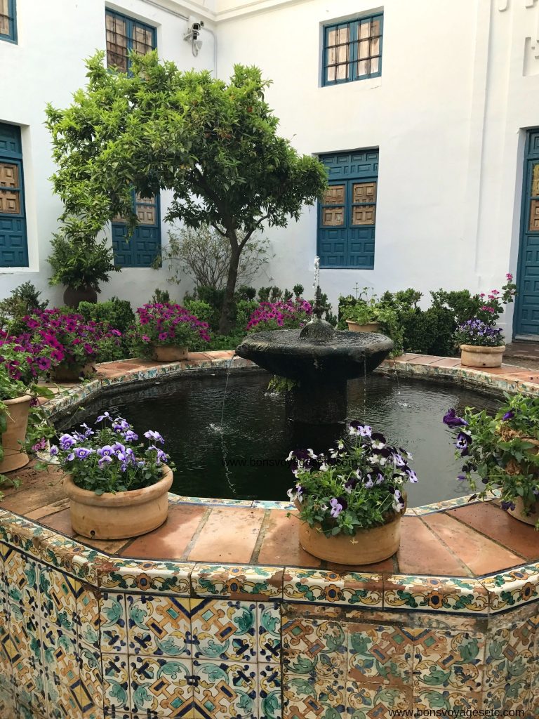 Palacio-Viana
