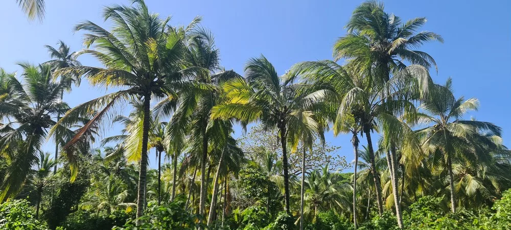 tayrona park