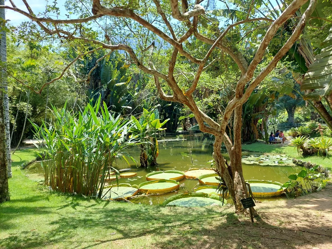 qué ver en rio de Janeiro