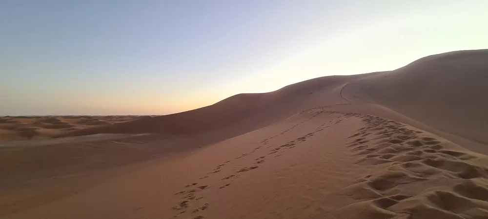 desert mhamid