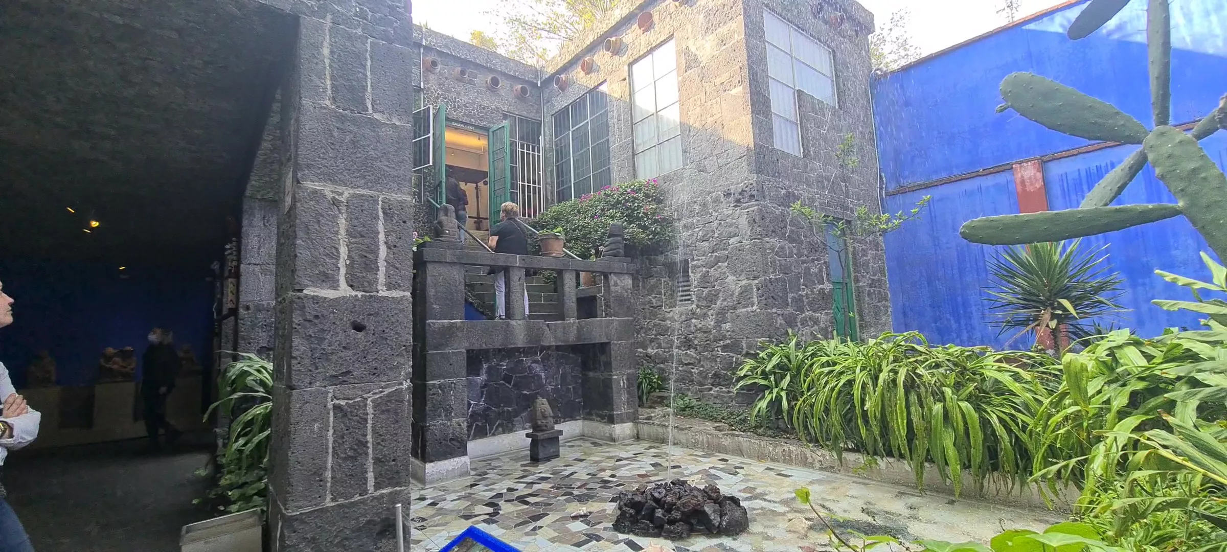 museum frida kahlo